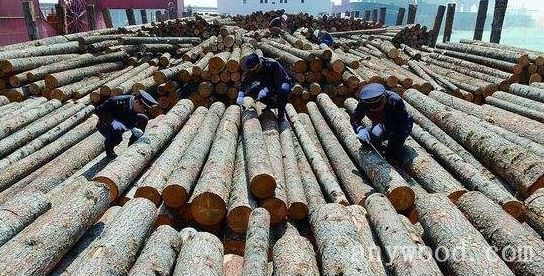 批木网 anywood.com