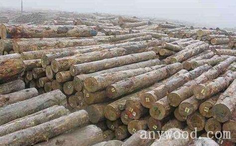 批木网 anywood.com