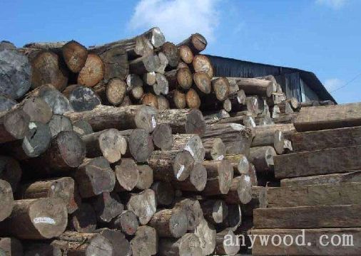 批木网 anywood.com
