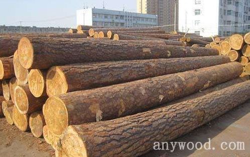 批木网 anywood.com