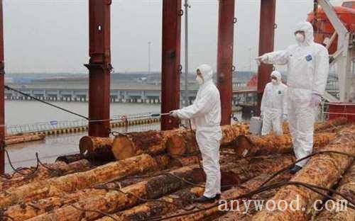 批木网 anywood.com