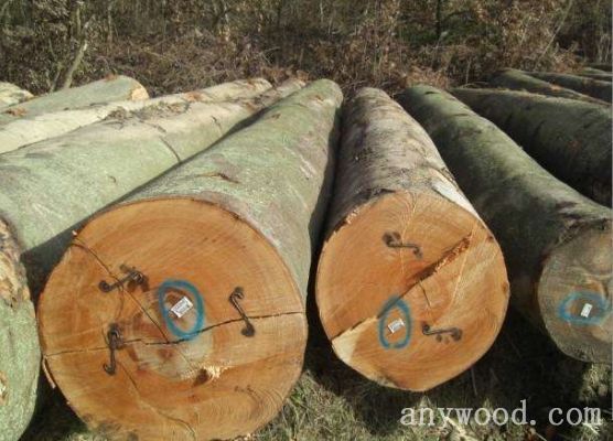批木网 anywood.com