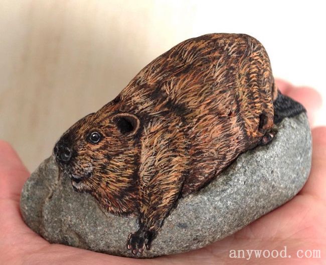 批木网 anywood.com
