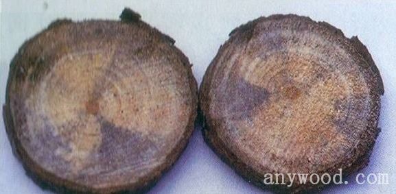 批木网 anywood.com