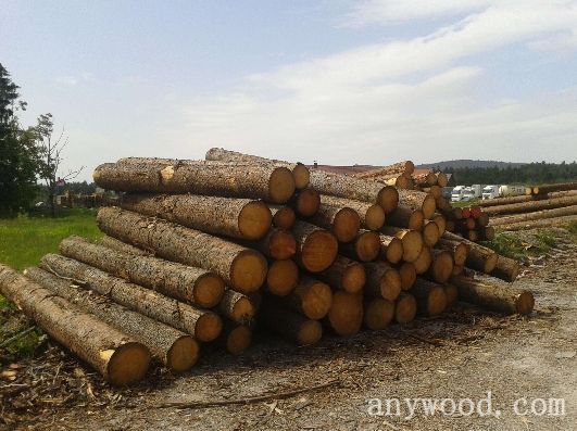 批木网 anywood.com