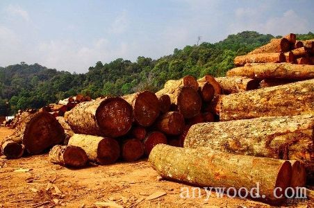 批木网 anywood.com