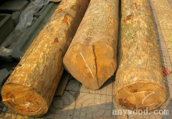 批木网 anywood.com
