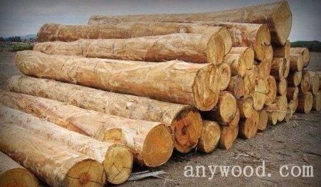 批木网 anywood.com