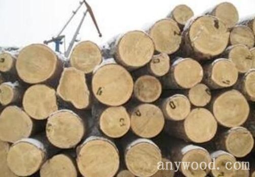 批木网 anywood.com
