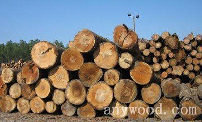 批木网anywood.com