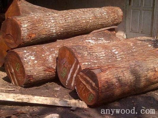 批木网 anywood.com