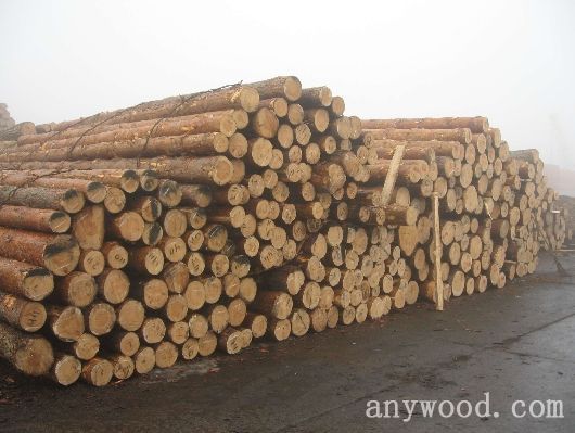 批木网 anywood.com