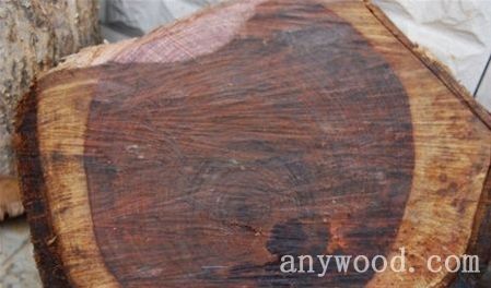 批木网 anywood.com