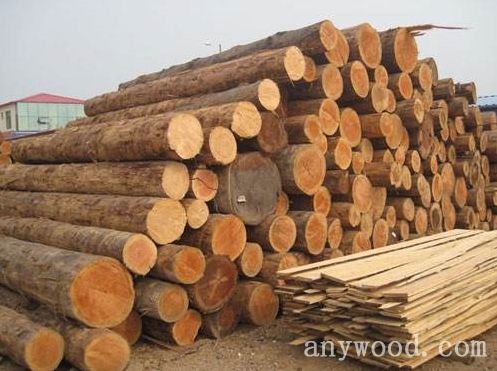 批木网 anywood.com