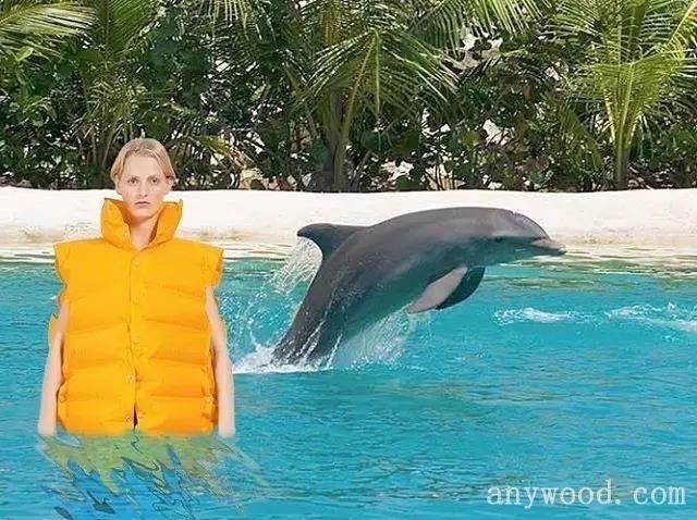 批木网 anywood.com