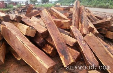 批木网 anywood.com