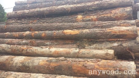 批木网 anywood.com
