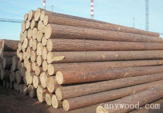 批木网 anywood.com