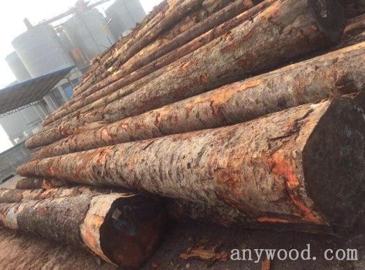 批木网 anywood.com