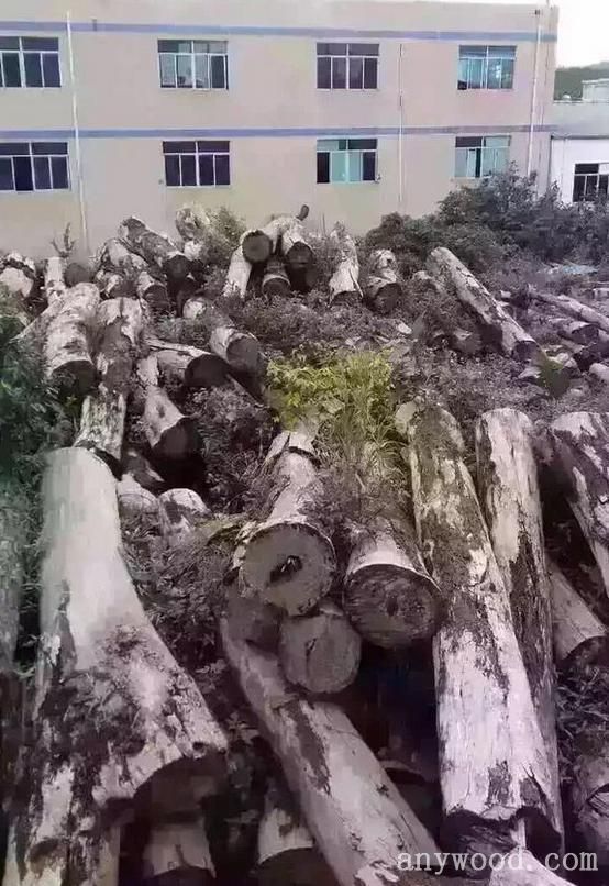批木网 anywood.com