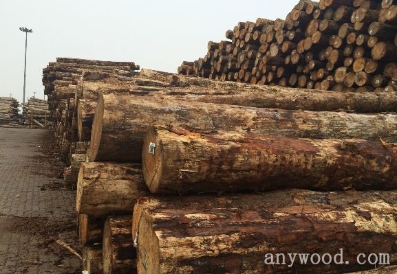 批木网 anywood.com