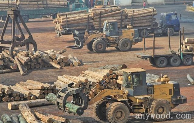批木网 anywood.com