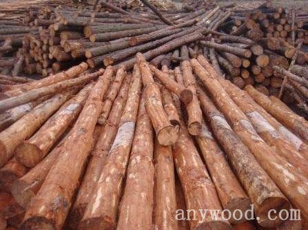 批木网 anywood.com