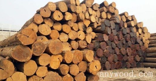 批木网 anywood.com