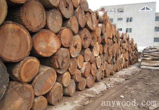 批木网 anywood.com