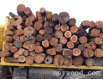 批木网 anywood.com