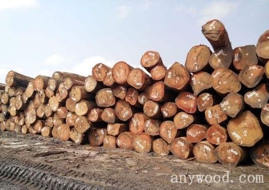 批木网 anywood.com