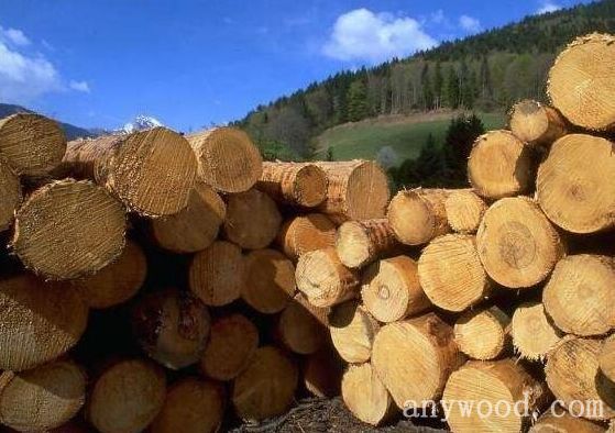 批木网 anywood.com