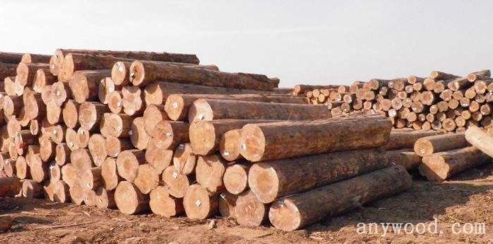 批木网 anywood.com