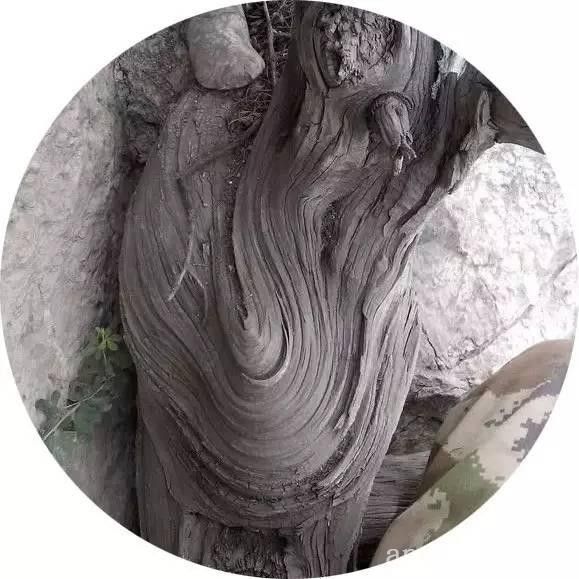 批木网 anywood.com