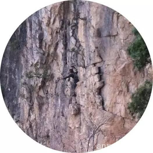 批木网 anywood.com