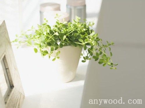 批木网 anywood.com