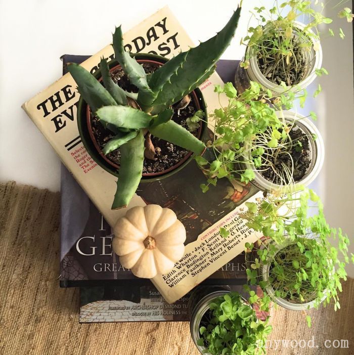 批木网 anywood.com