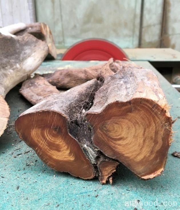 批木网 anywood.com