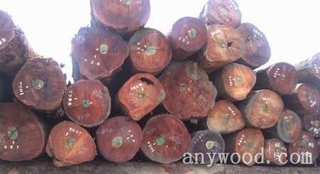 批木网 anywood.com