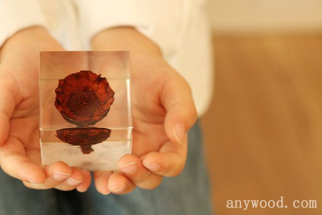 批木网 anywood.com