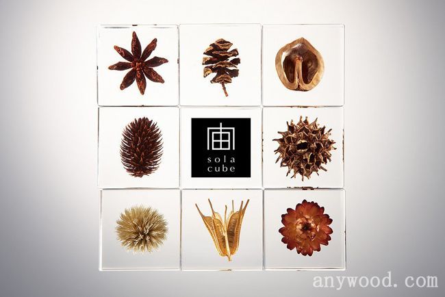 批木网  anywood.com