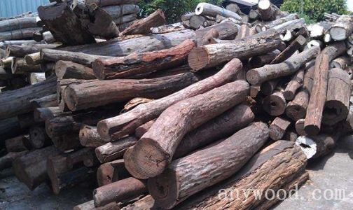 批木网 anywood.com