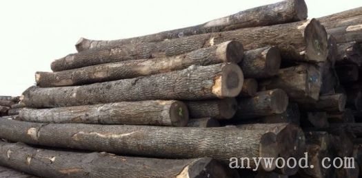 批木网 anywood.com