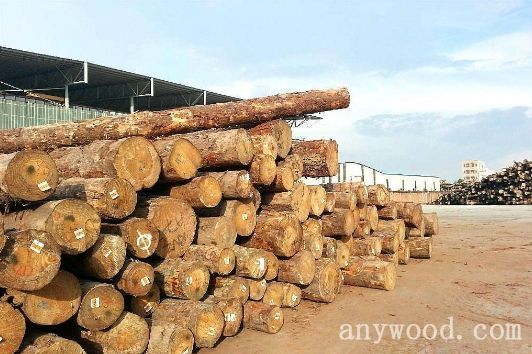批木网 anywood.com
