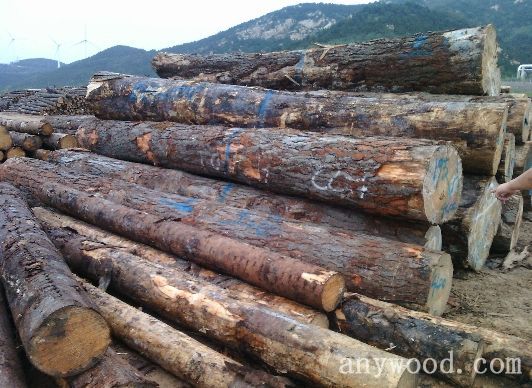 批木网 anywood.com
