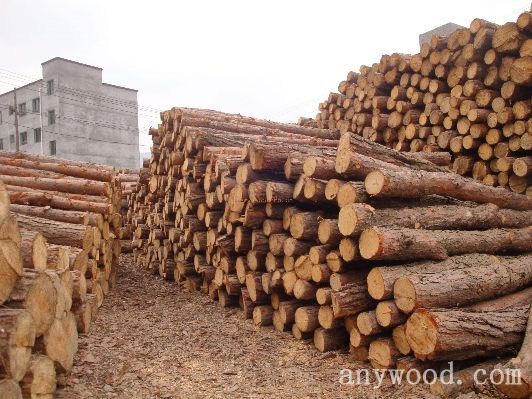 批木网 anywood.com