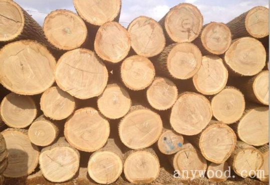 批木网 anywood.com