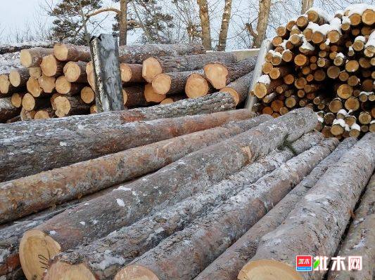 批木网 anywood.com