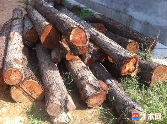 批木网 anywood.com