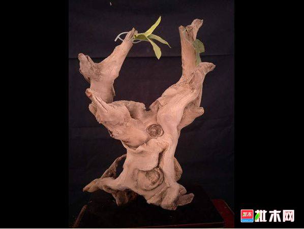 批木网 anywood.com